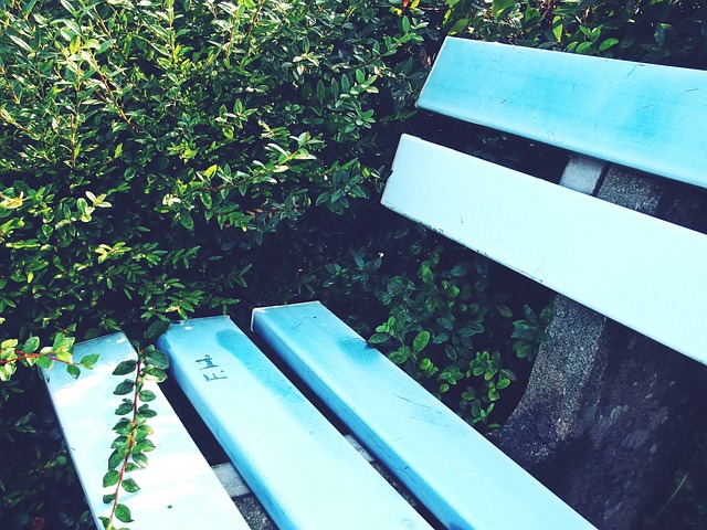 这或许是一 这或许是一