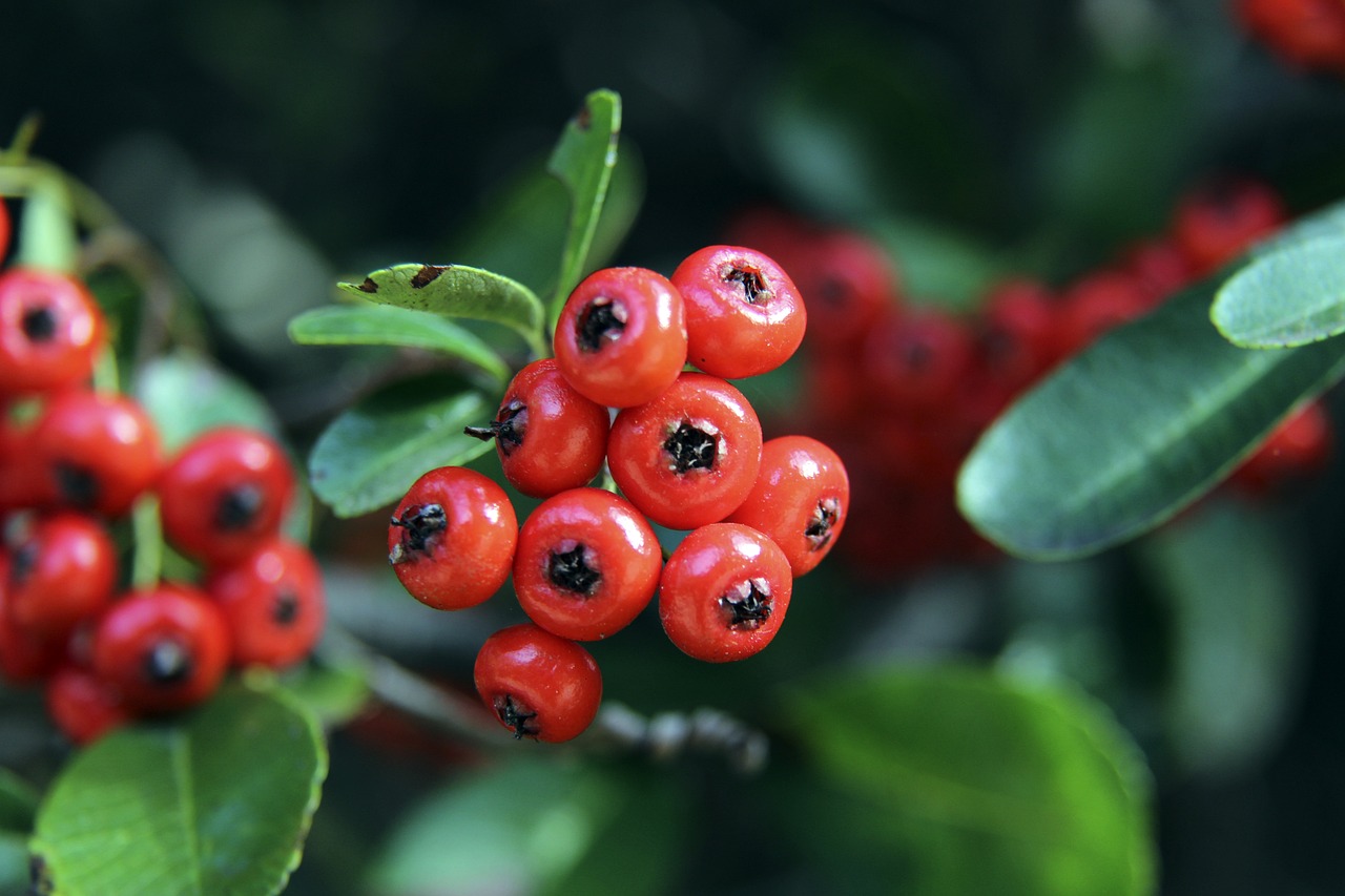 一位置的空 一位置的空