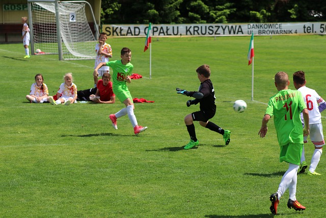 挑战的赛季 挑战的赛季