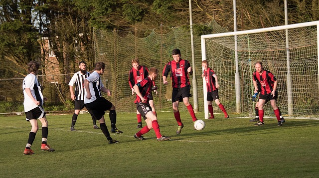 国米在追求 国米在追求