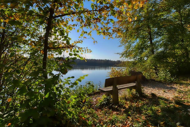 转会的不乏 转会的不乏