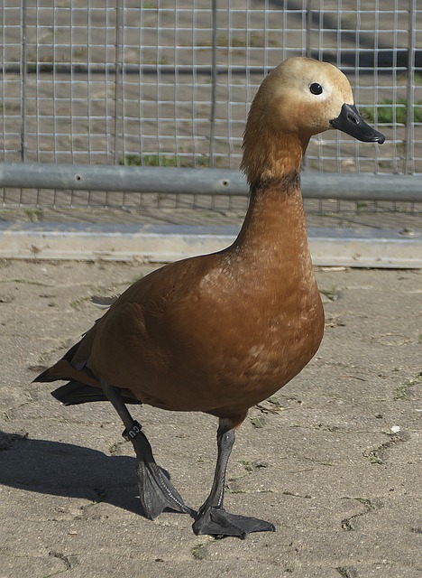 实践路径